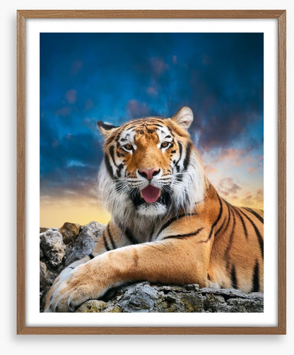 Don't mess with the tigress