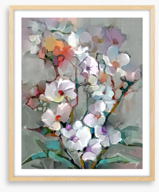 Floral blooms