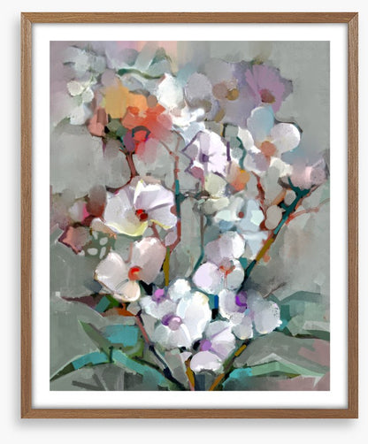 Floral blooms