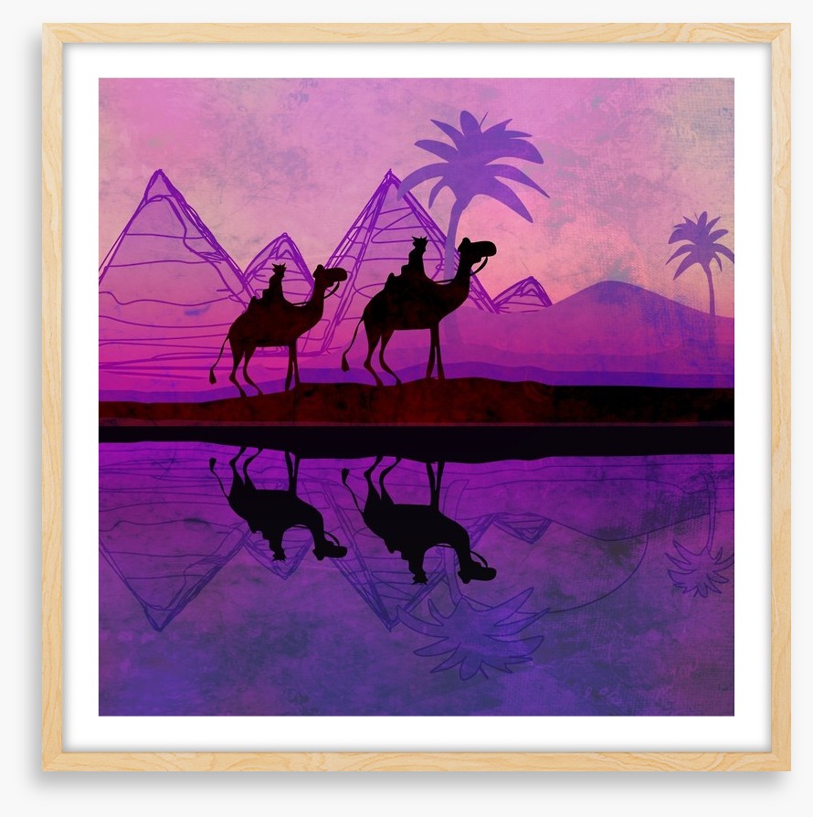 Violet night