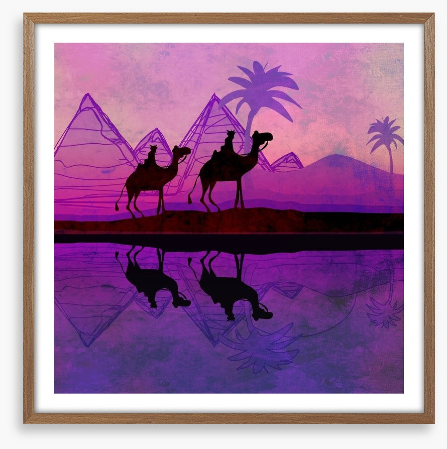 Violet night