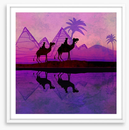 Violet night