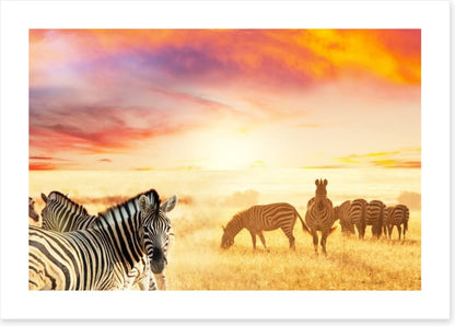 Serengeti stripes