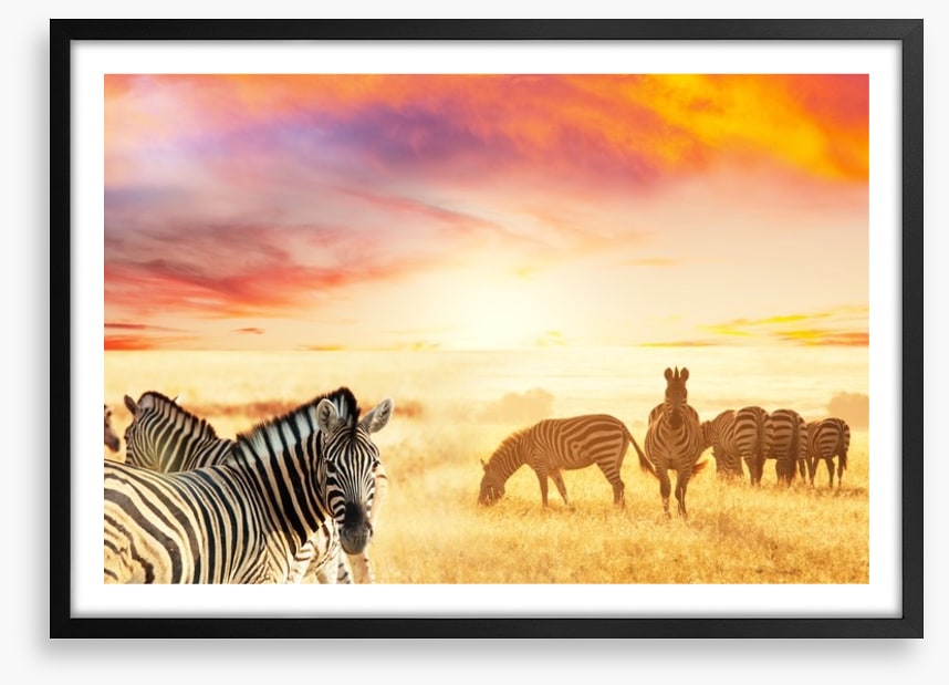 Serengeti stripes