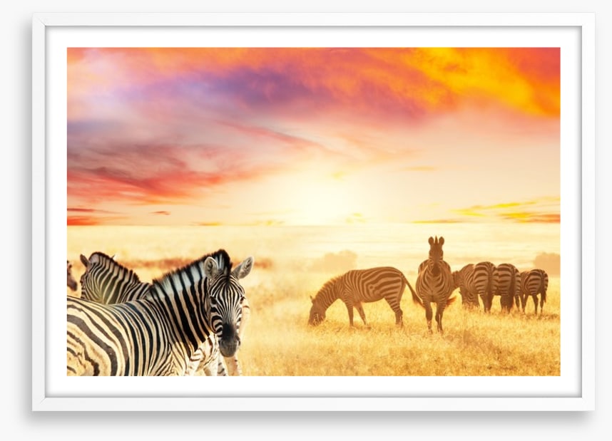 Serengeti stripes