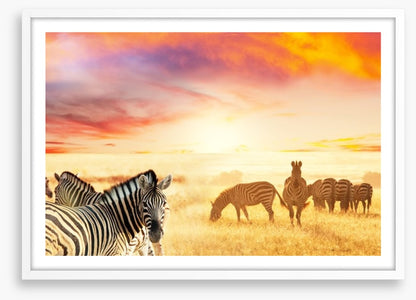 Serengeti stripes