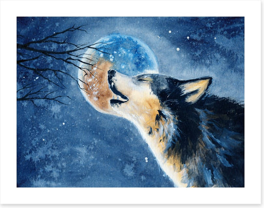 Howling wilderness