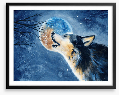 Howling wilderness