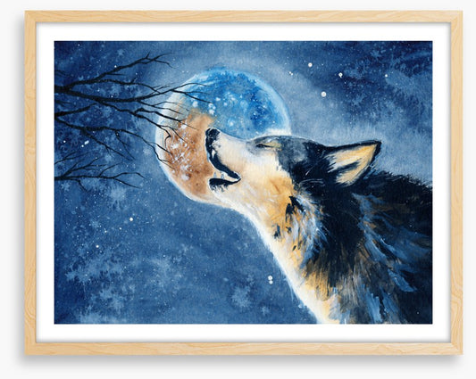 Howling wilderness