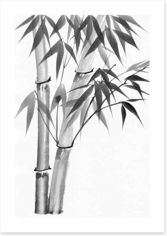 Bamboo watercolour