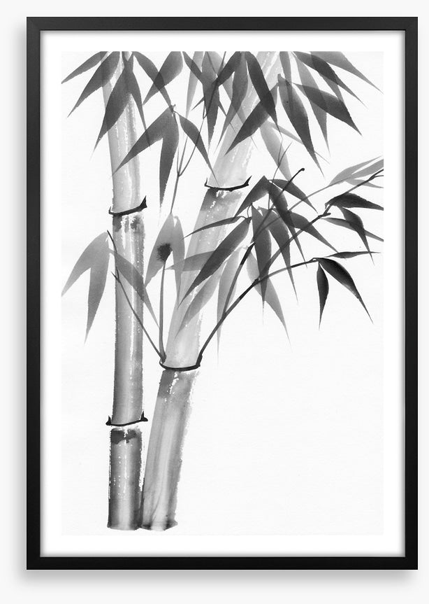 Bamboo watercolour