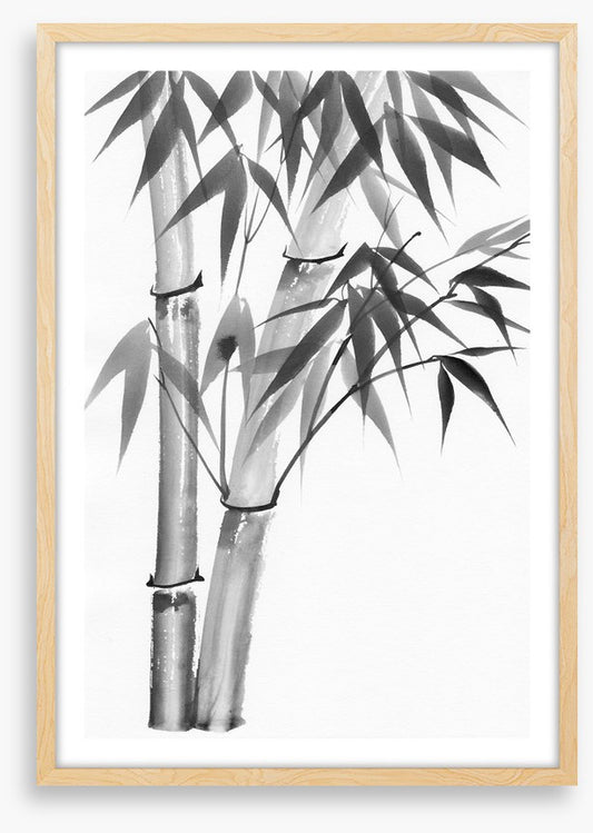 Bamboo watercolour