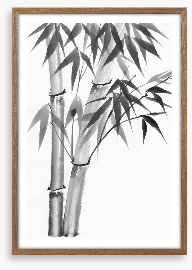 Bamboo watercolour