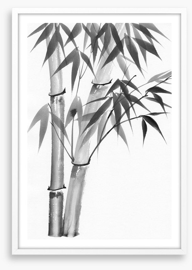 Bamboo watercolour