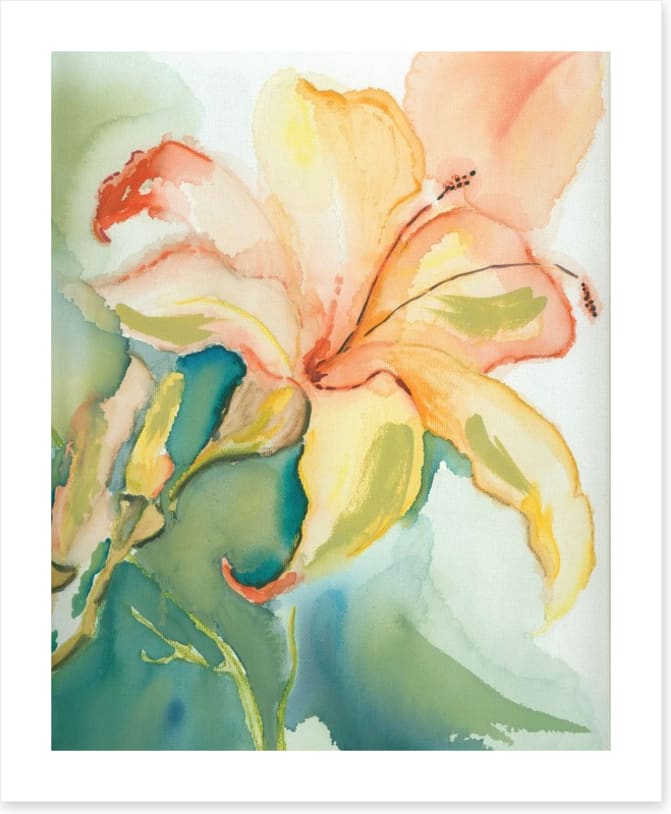 Lily of the garden