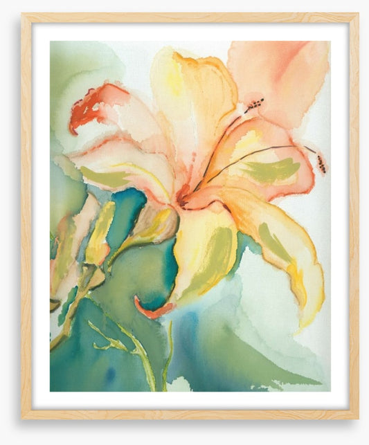 Lily of the garden