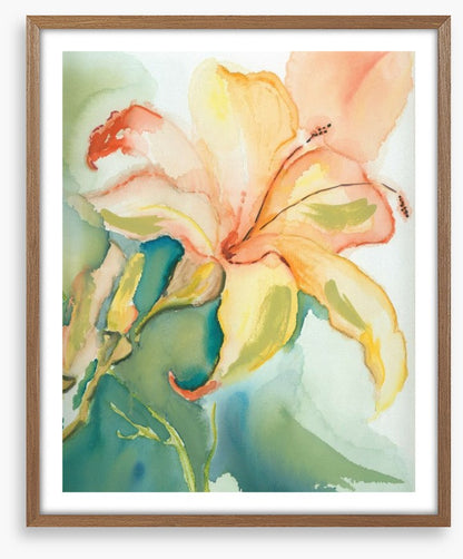 Lily of the garden