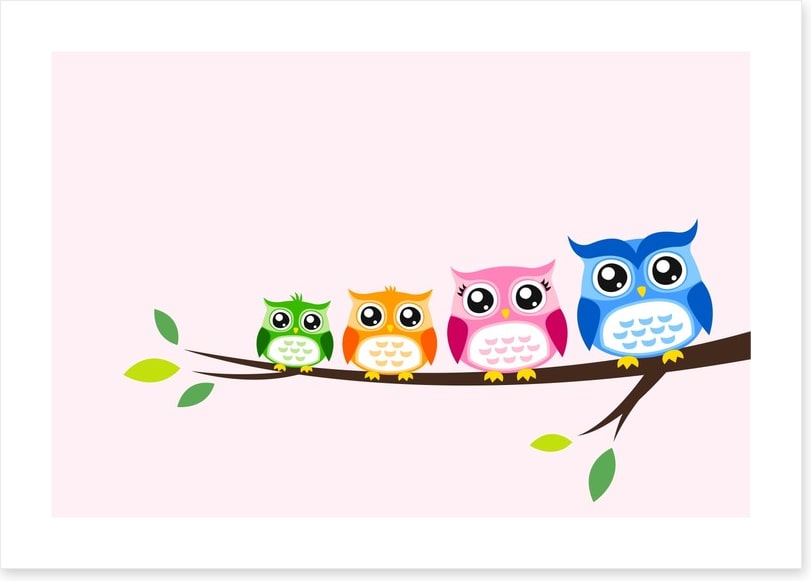 Rainbow owls