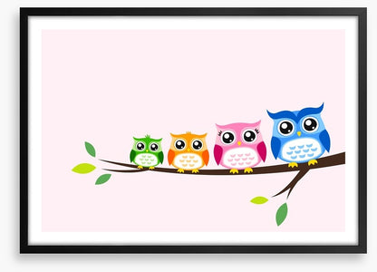 Rainbow owls