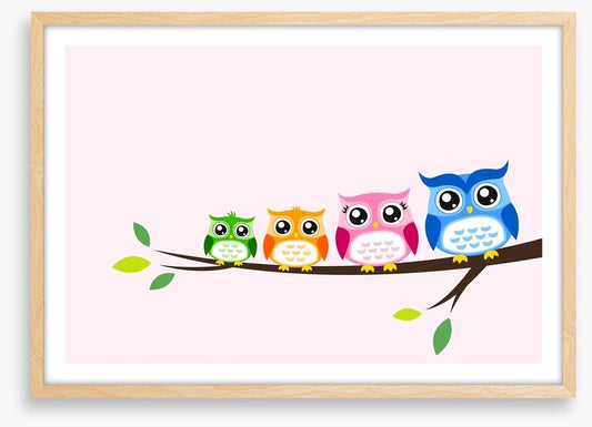 Rainbow owls