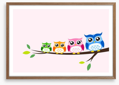 Rainbow owls