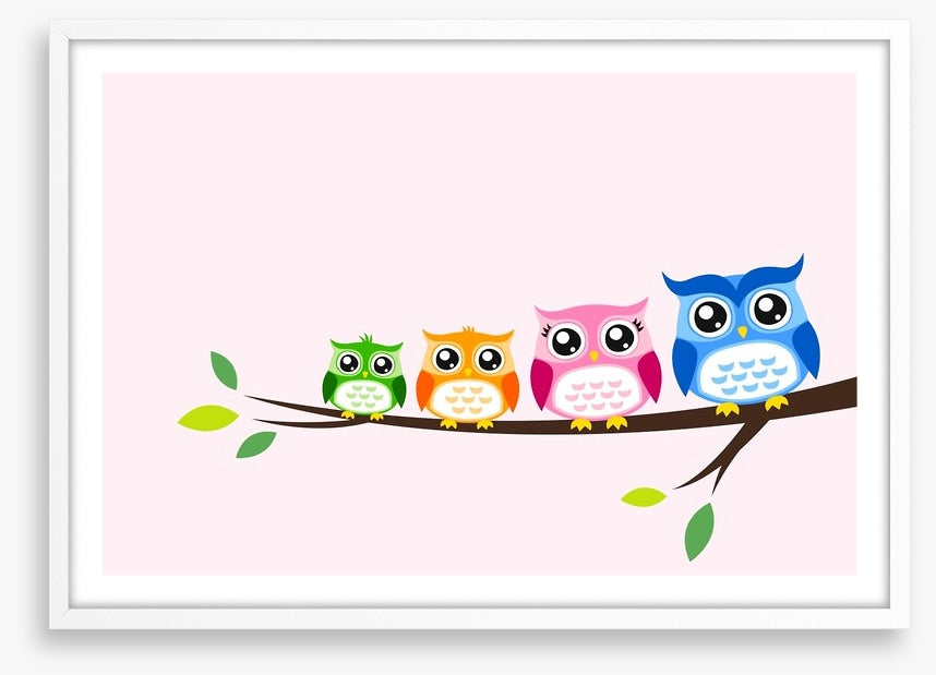 Rainbow owls