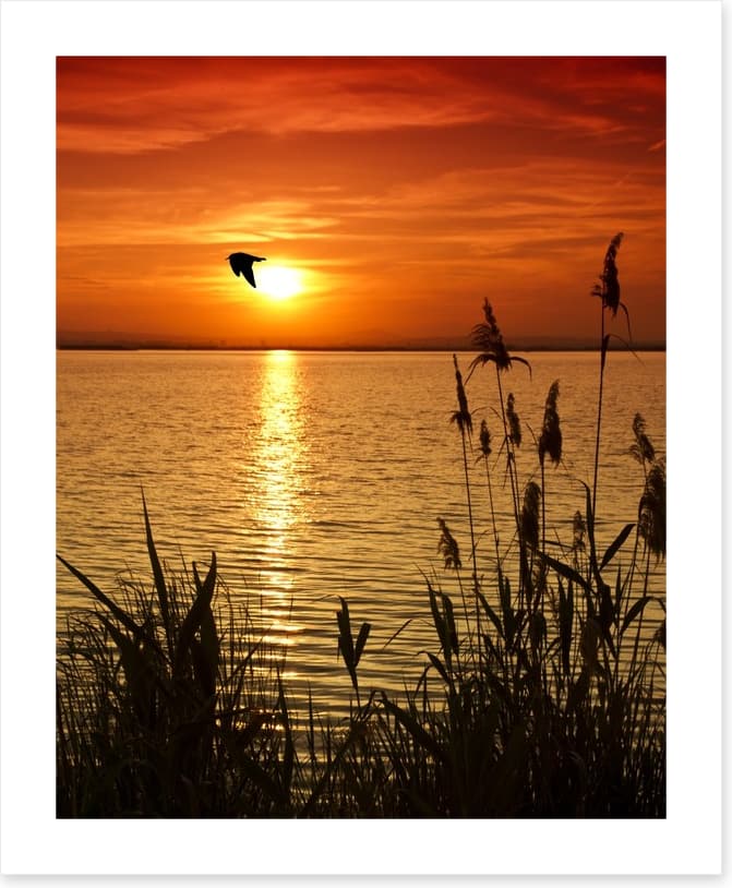 Sundown silhouettes