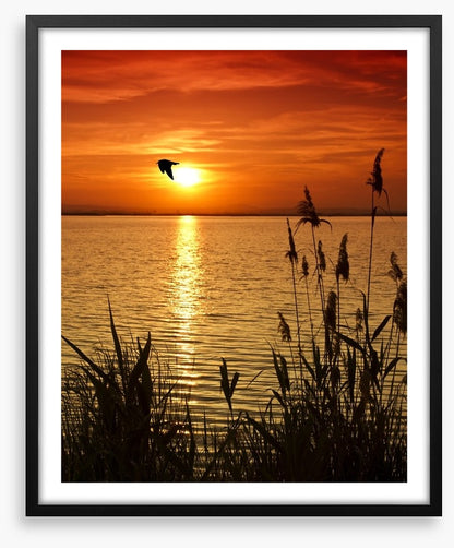 Sundown silhouettes