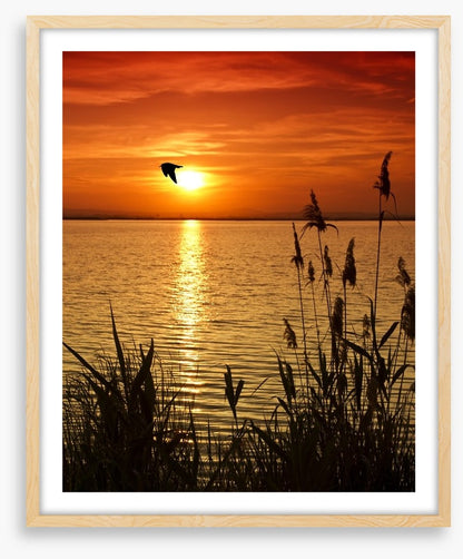 Sundown silhouettes