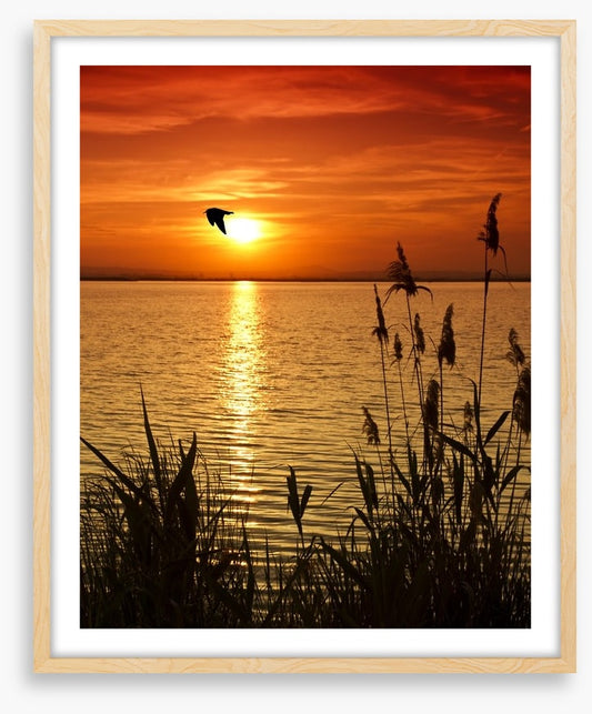 Sundown silhouettes