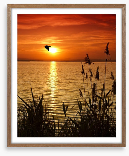 Sundown silhouettes