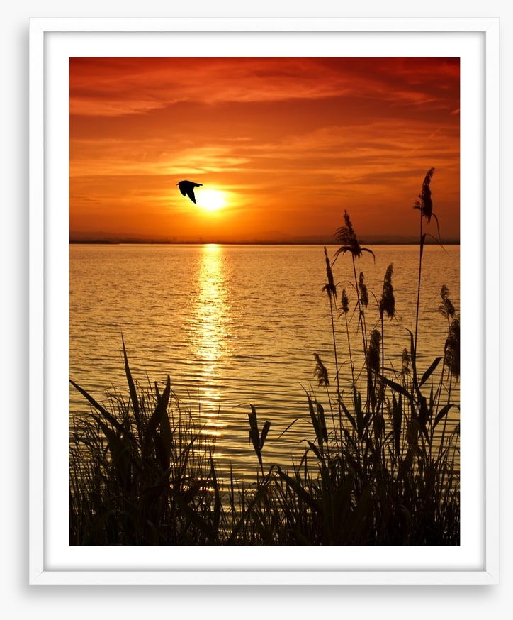 Sundown silhouettes