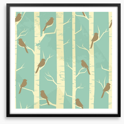 Birch and birds
