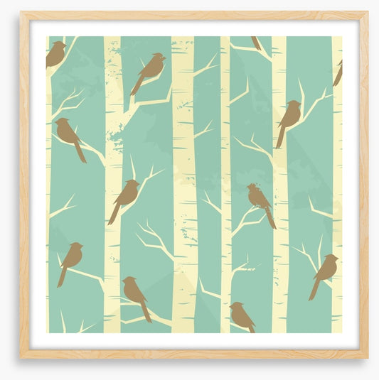 Birch and birds