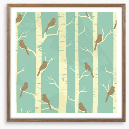 Birch and birds