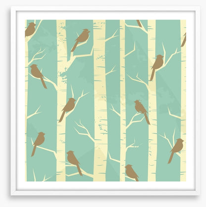 Birch and birds