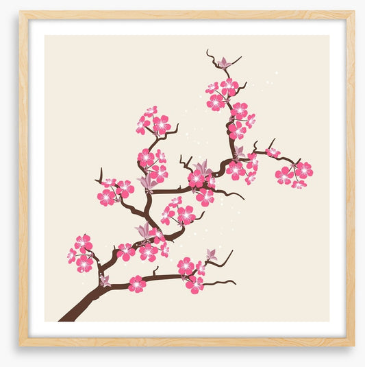Cherry pink blossom
