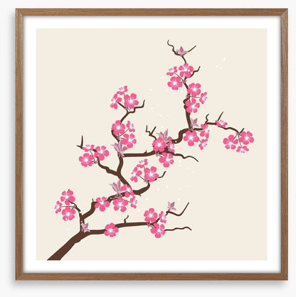 Cherry pink blossom