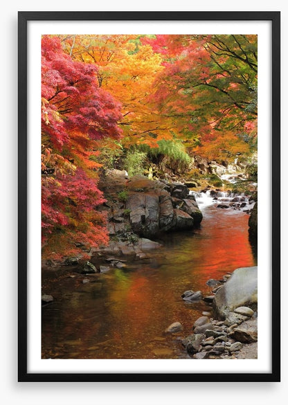 Autumn maple stream