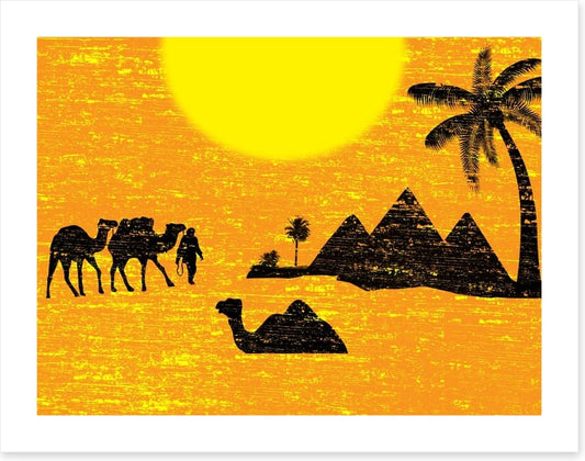 Bedouin bound