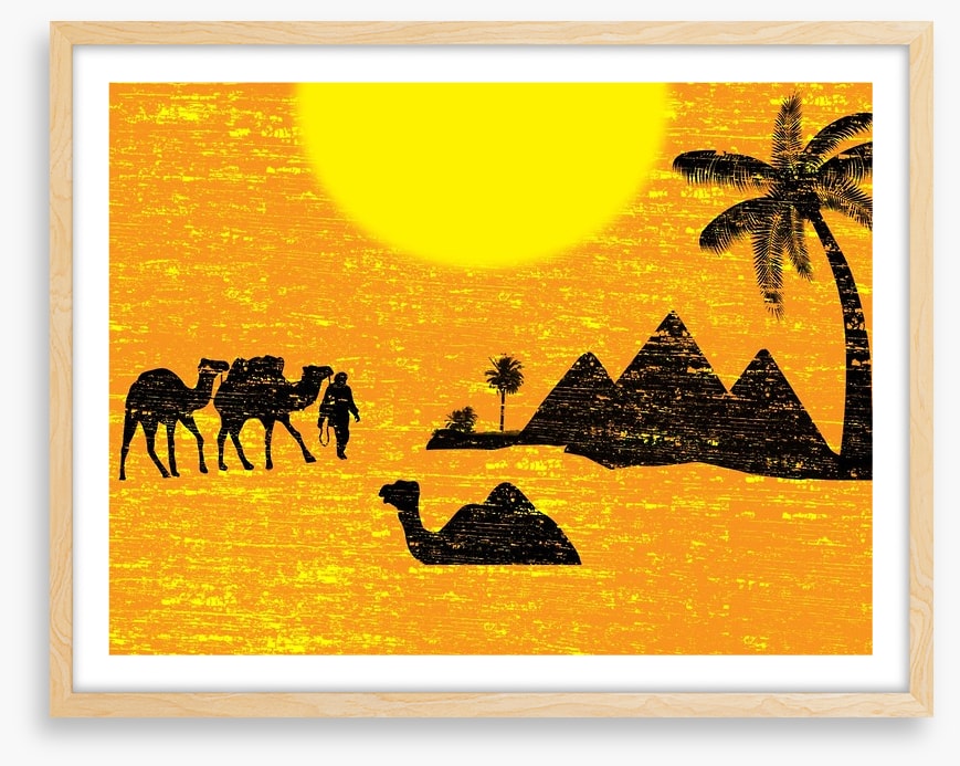 Bedouin bound