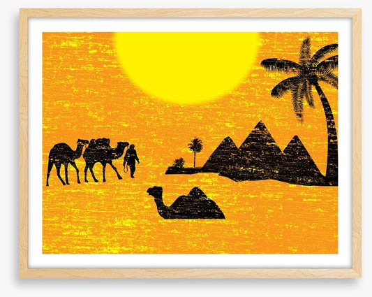 Bedouin bound