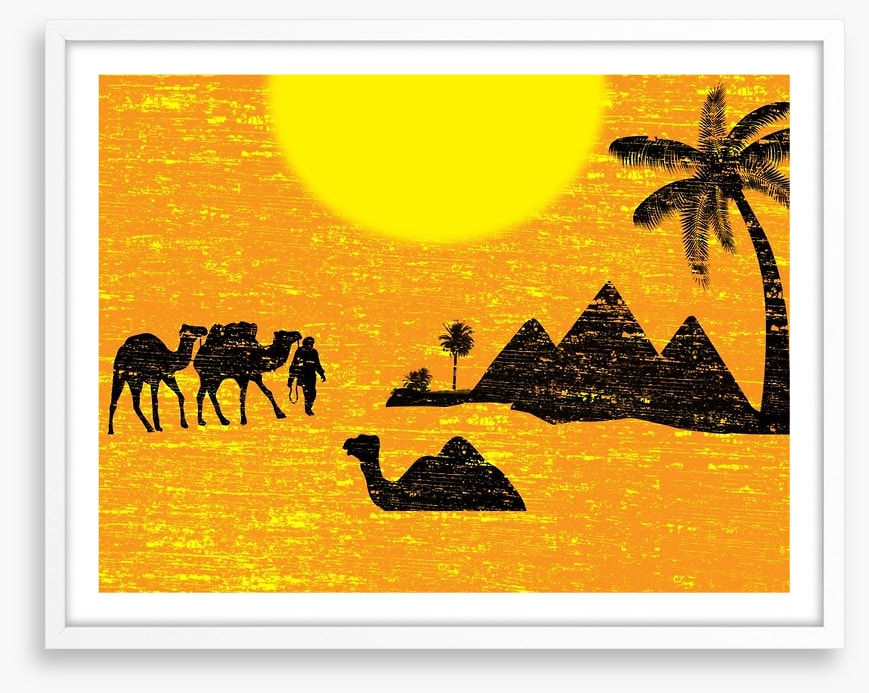 Bedouin bound
