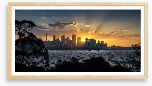 Spectacular sunset over Sydney city