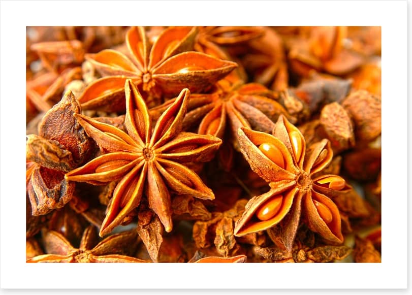 Stars of anise