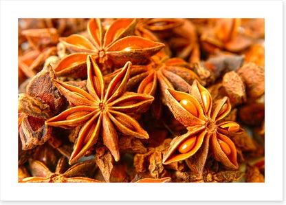 Stars of anise