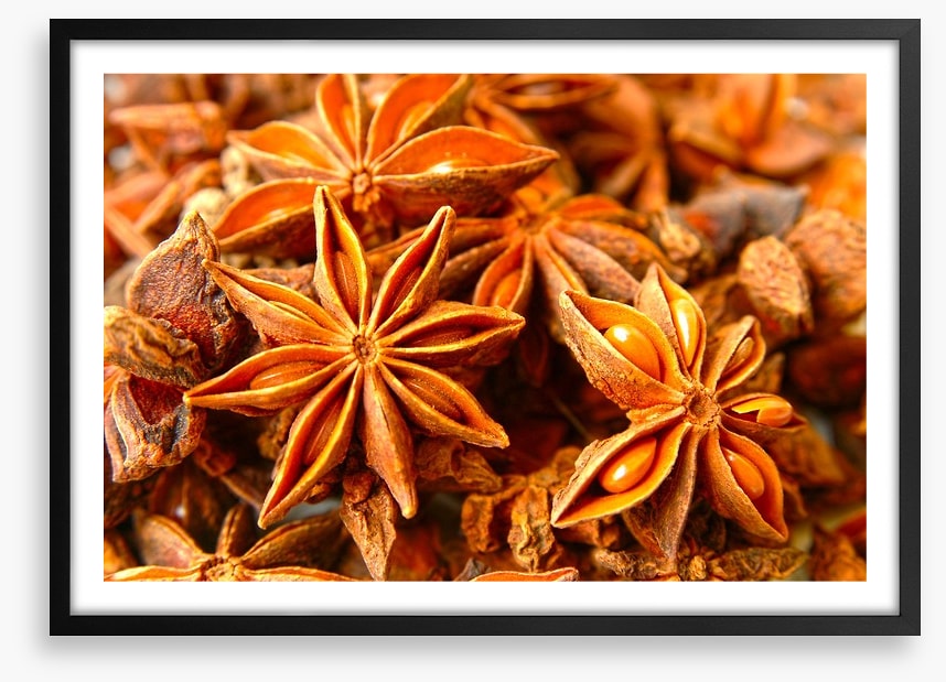Stars of anise