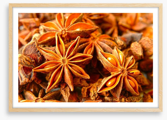 Stars of anise