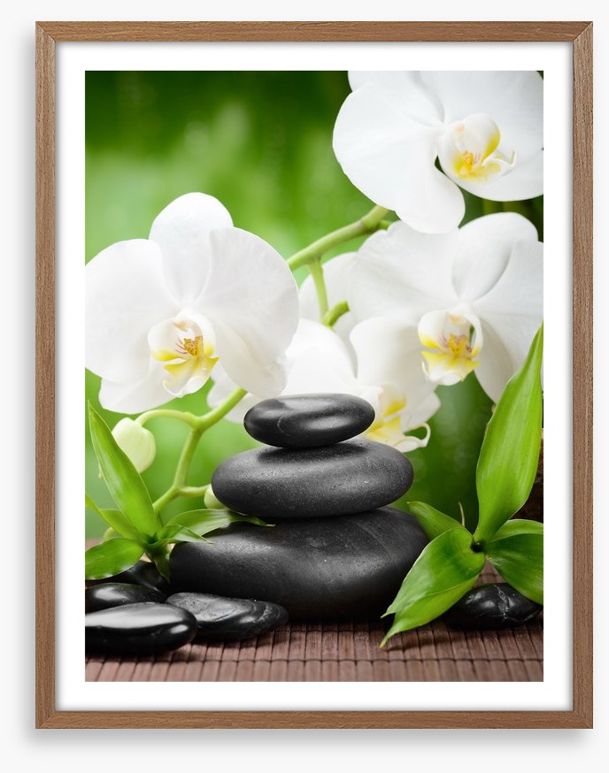 Revitalise and restore