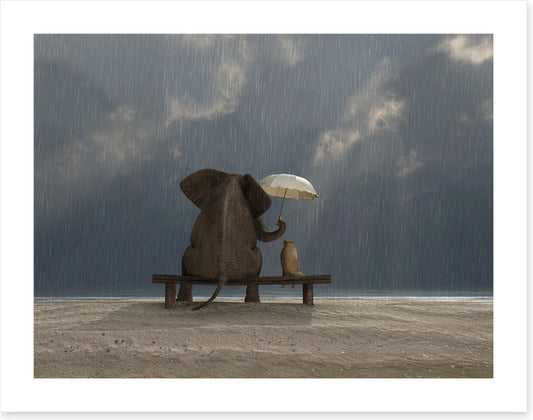 Together in the rain